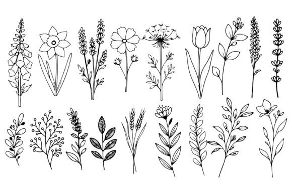 Download Set of Herbs and Wild Flowers Vector Art - Herbs Collection