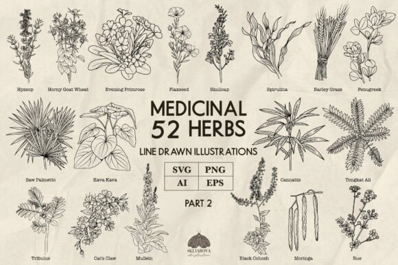 Download Medicinal Herbs Part 2 Line Art Svg Png - Premium Bundle