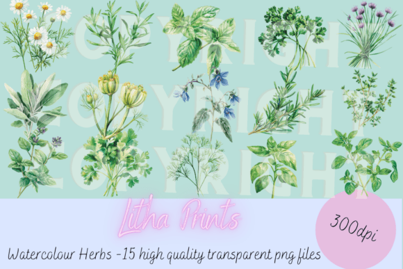 Download Watercolour Herbs - Premium Bundle