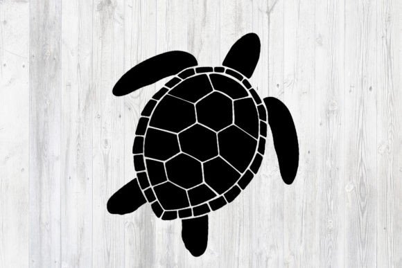 Download Turtle Svg, Ocean Svg, Sea Turtle Png, - Turtle svg Collection